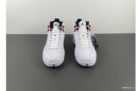 CT8013-106 “Twist” Jordan CT8013-106  12 Air 0606